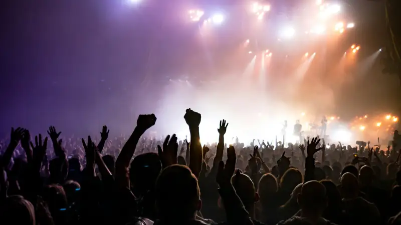 Festivals & Concerts