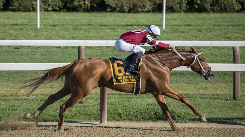 Horse Races & Arenas
